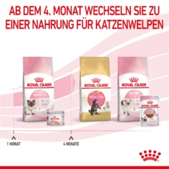Royal Canin Mother & Babycat Mousse Nassfutter Katze 13 Royal Canin Mother & Babycat Mousse Nassfutter Katze -Bell Oliebe Verkäufe 9003579019993 4551 8