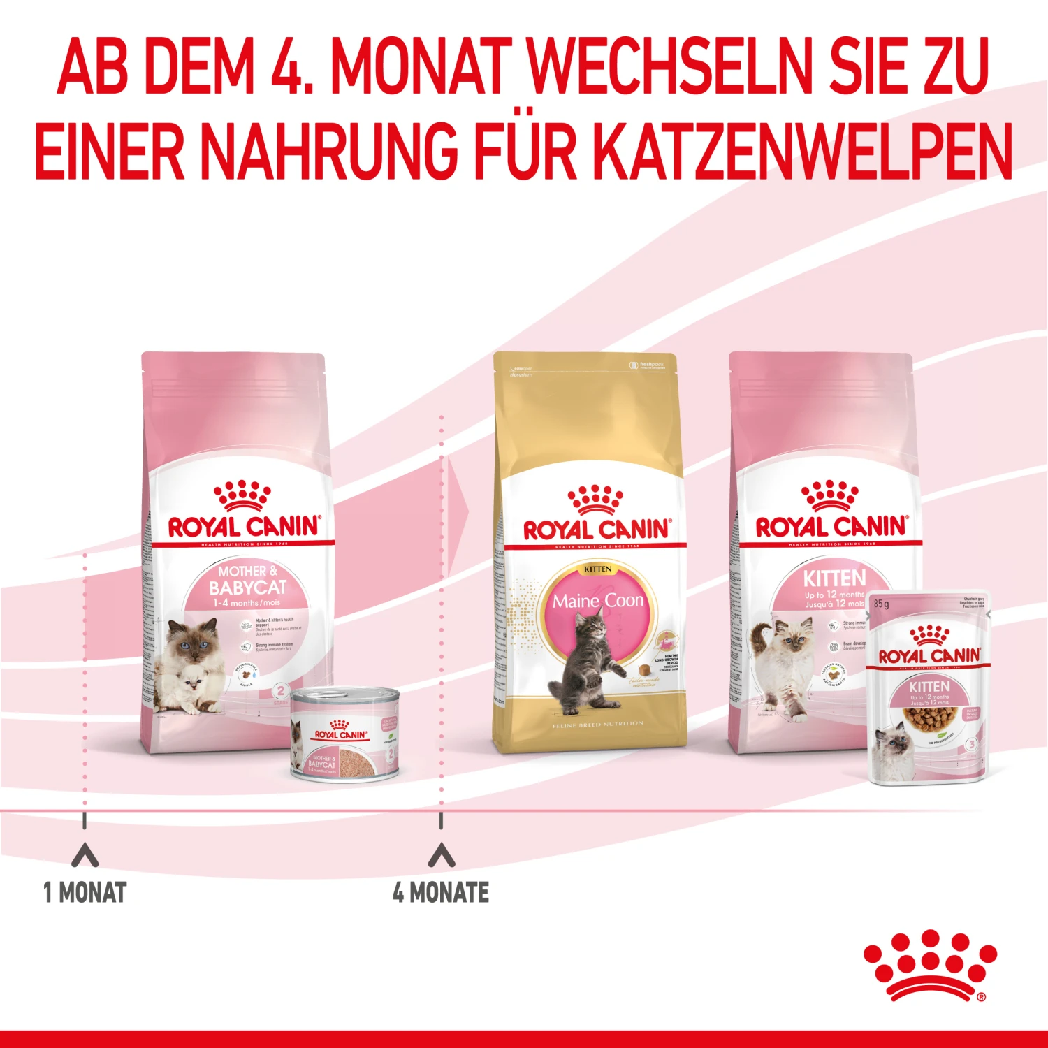 Royal Canin Mother & Babycat Mousse Nassfutter Katze 7 Royal Canin Mother & Babycat Mousse Nassfutter Katze – Bild 7
