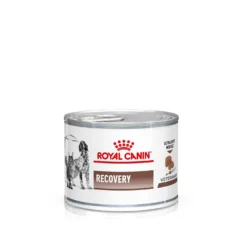 Royal Canin Recovery Nassfutter