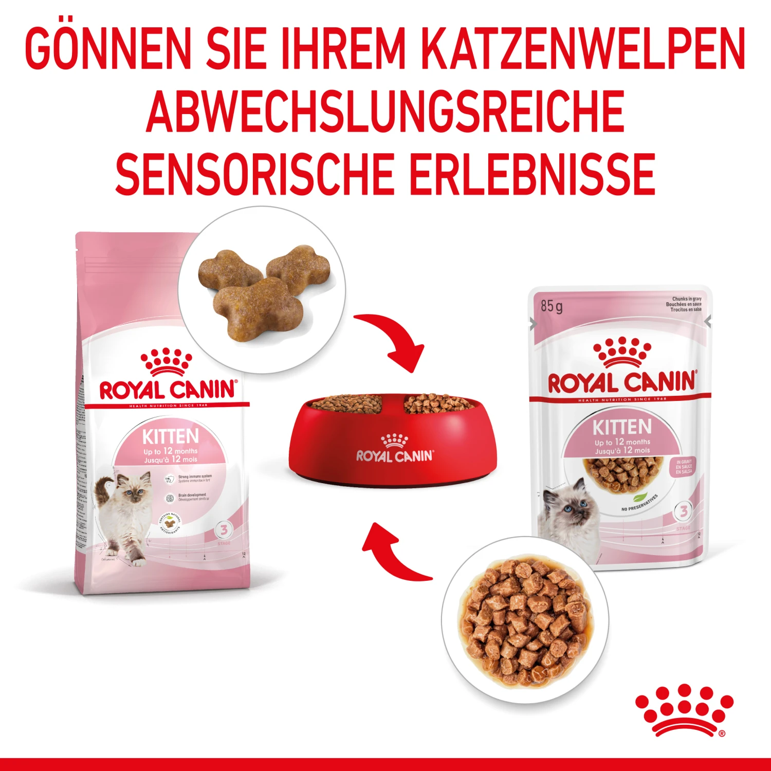 Royal Canin Kitten Nassfutter In Soße Für Kätzchen 12 X 85 G 4 Royal Canin Kitten Nassfutter In Soße Für Kätzchen 12 X 85 G – Bild 4