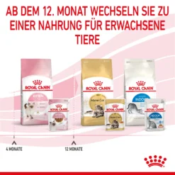 Royal Canin Kitten Nassfutter In Soße Für Kätzchen 12 X 85 G 13 Royal Canin Kitten Nassfutter In Soße Für Kätzchen 12 X 85 G -Bell Oliebe Verkäufe 9003579308745 4501 9