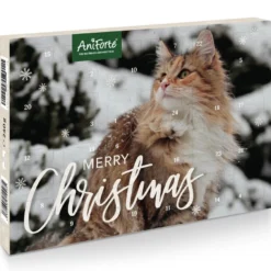 Bell Oliebe Verkäufe 23 AniForte Adventskalender 2023 Für Katzen