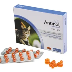 Antinol Für Katzen 60 Kapseln