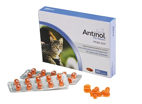 Antinol Für Katzen 60 Kapseln 1 Antinol Für Katzen 60 Kapseln
