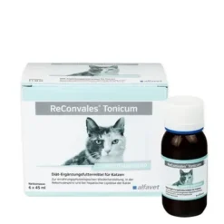 Reconvales Tonicum Katze