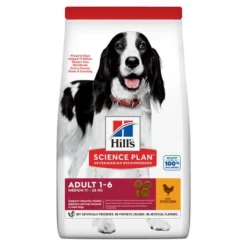 Bell Oliebe Verkäufe 37 Hill's Science Plan Medium Adult Hundefutter Mit Huhn