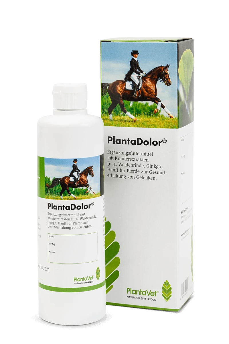 PlantaDolor 1 PlantaDolor