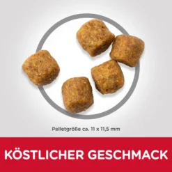 Hill's Science Plan Medium Adult Hundefutter Mit Lamm & Reis 3 Hill's Science Plan Medium Adult Hundefutter Mit Lamm & Reis -Bell Oliebe Verkäufe sp canine science plan adult advanced fitness medium lamb and rice dry productkibble 500