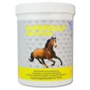 Nutri Labs Supersulf MSM Equin - 1 Kg